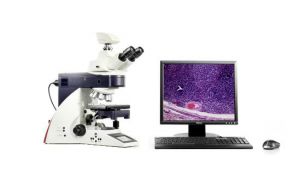 徕卡DM4000B生物显微镜