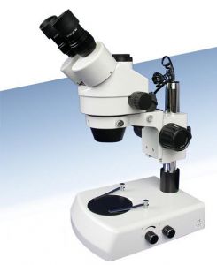 SMZ-T2体视显微镜