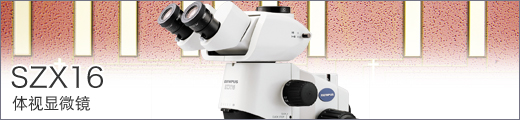 SZX-16体视显微镜.jpg