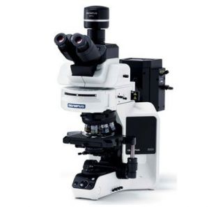 奥林巴斯BX63生物显微镜