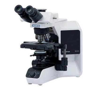 BX43生物显微镜.jpg